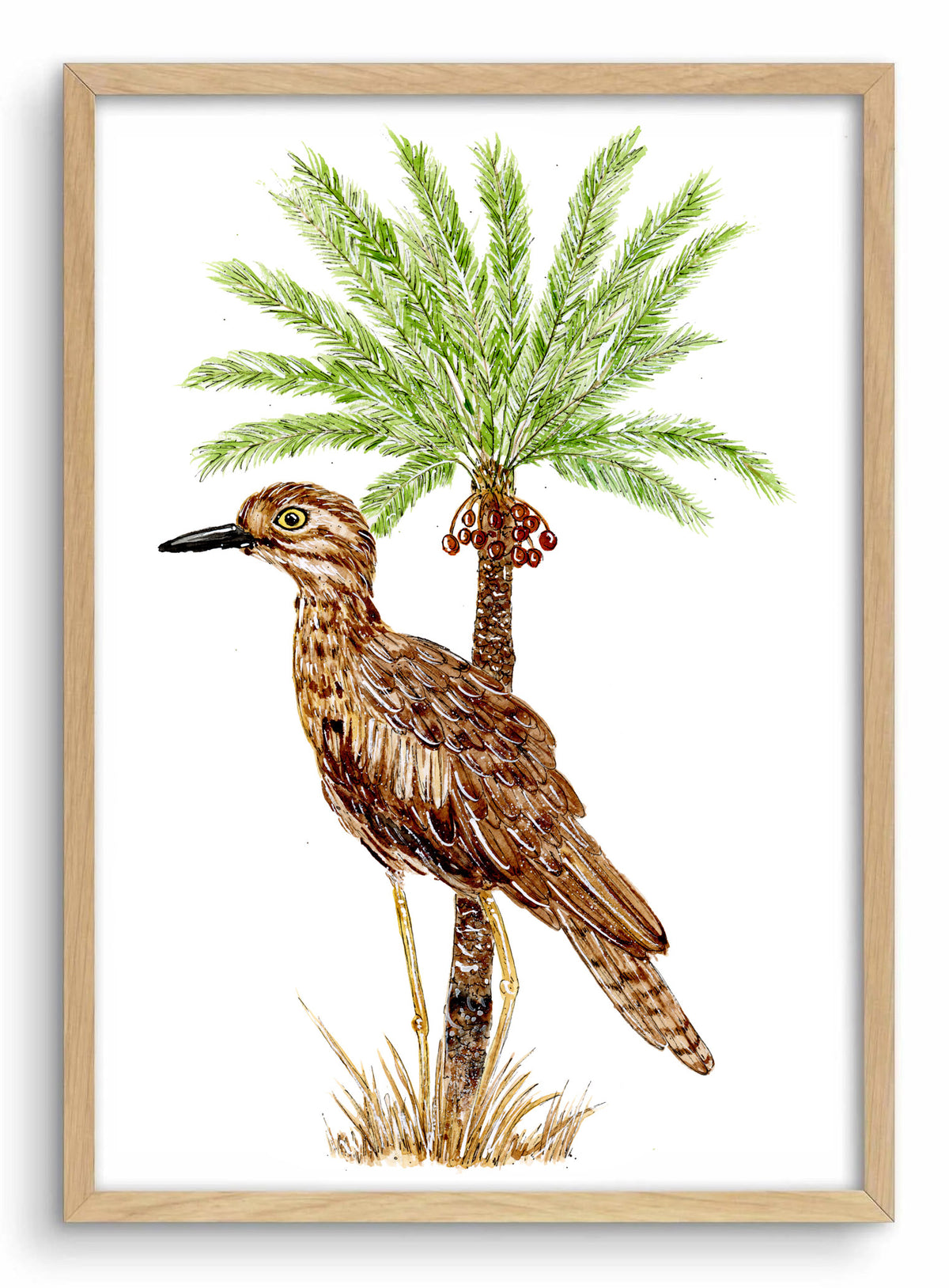 A fine art print featuring a watercolor illustration of a bird perched on a cycad, with a focus on the feathers and the environment.