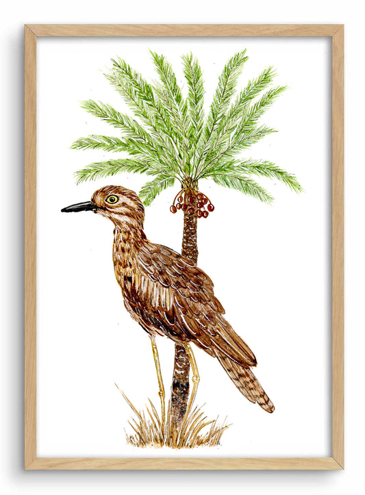 A fine art print featuring a watercolor illustration of a bird perched on a cycad, with a focus on the feathers and the environment.