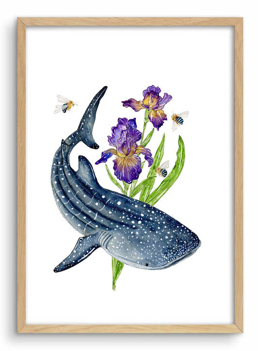 ‘Depths of Wisdom' Whaleshark & Iris | Watercolour Art print